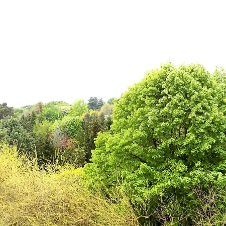 Evksinograd Park View * וארנה